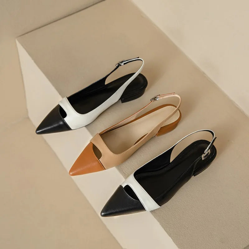 עקב אלגנטי- CORTEZ